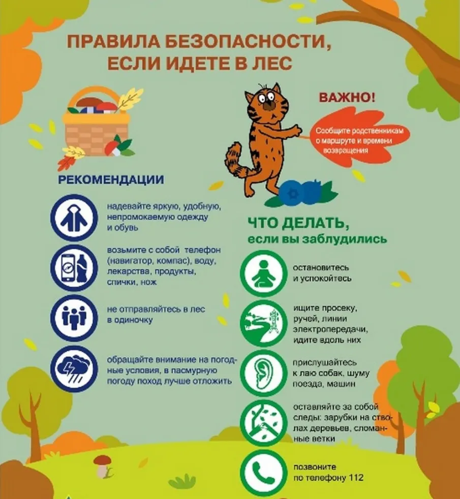 Памятка  безопасности при походе в лес